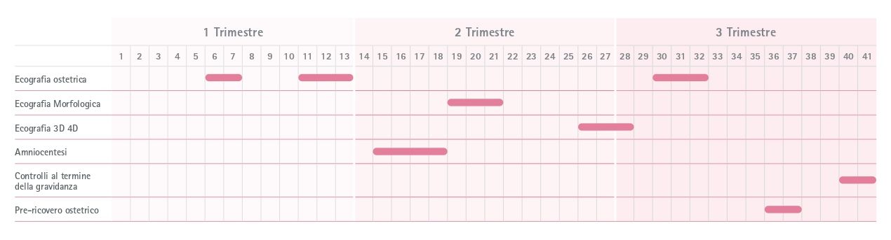 calendario esami gravidanza